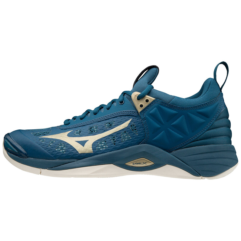 Sapatilhas Voleibol Mizuno Wave Momentum - Homem - Azuis - YXPWH1864